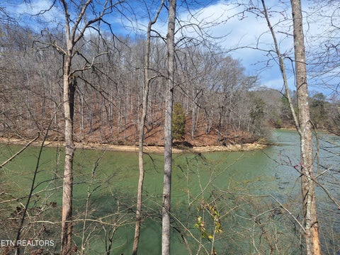 Tiny photo for 13136 George Lovelace Lane, Knoxville, TN 37932 (MLS # 1301804)