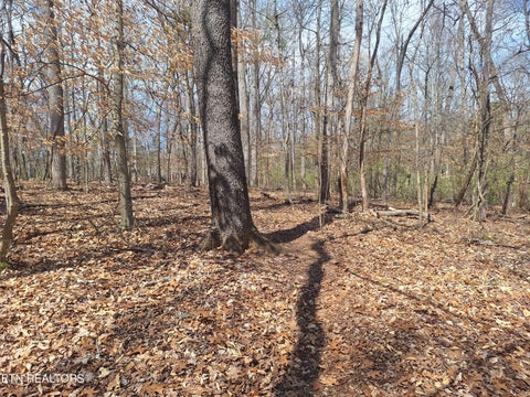 Tiny photo for 13136 George Lovelace Lane, Knoxville, TN 37932 (MLS # 1301804)