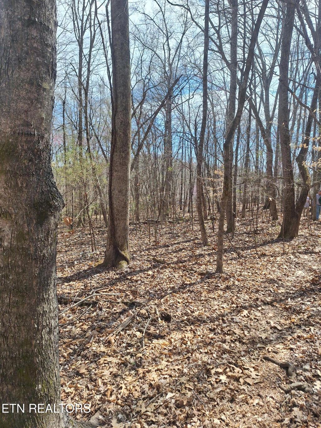 Photo of 13136 George Lovelace Lane, Knoxville, TN 37932 (MLS # 1301804)