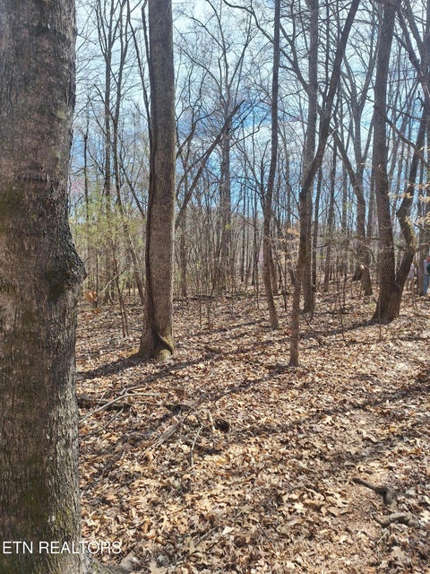 Tiny photo for 13136 George Lovelace Lane, Knoxville, TN 37932 (MLS # 1301804)