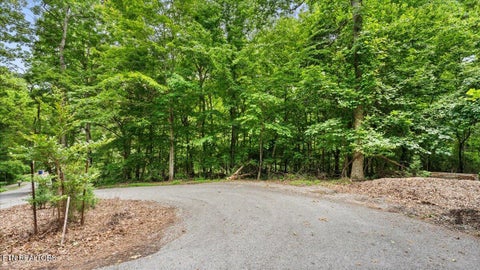 Tiny photo for 13136 George Lovelace Lane, Knoxville, TN 37932 (MLS # 1301804)