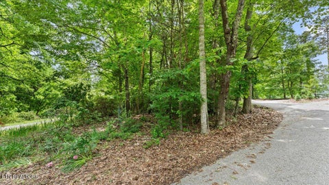 Tiny photo for 13136 George Lovelace Lane, Knoxville, TN 37932 (MLS # 1301804)