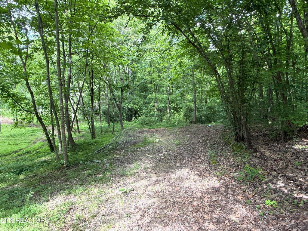 Photo of 316 Wiley Town Rd, Newport, TN 37821 (MLS # 1339970)