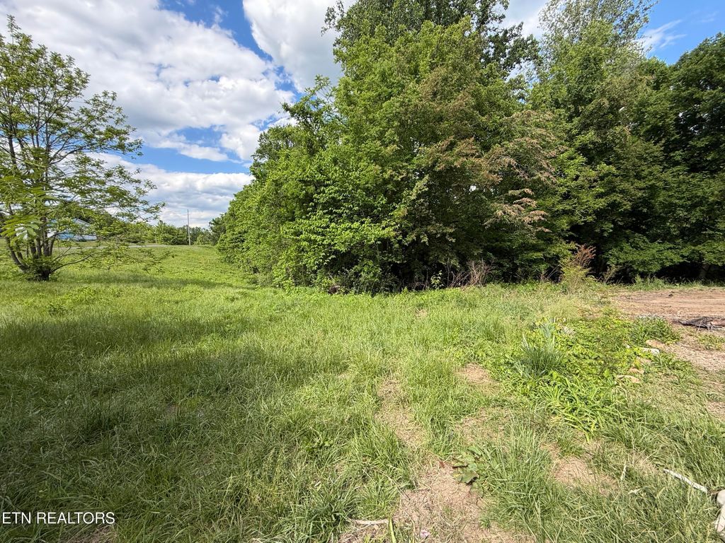 Photo of 316 Wiley Town Rd, Newport, TN 37821 (MLS # 1339970)