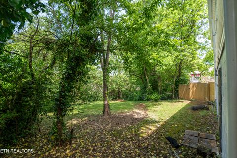 Tiny photo for 3209 Washington Pike, Knoxville, TN 37917 (MLS # 1346679)