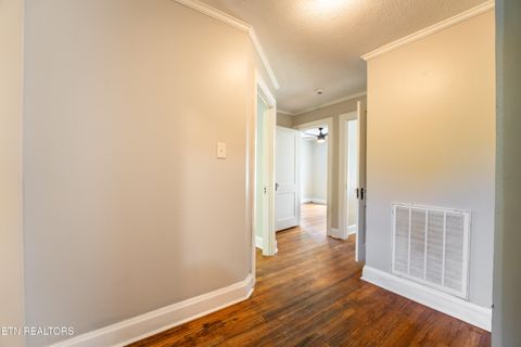 Tiny photo for 3209 Washington Pike, Knoxville, TN 37917 (MLS # 1346679)