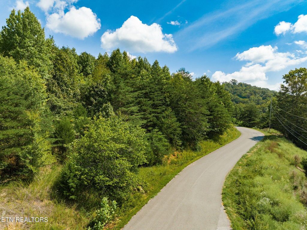 Photo of Clear Water Rd, New Tazewell, TN 37825 (MLS # 1293638)