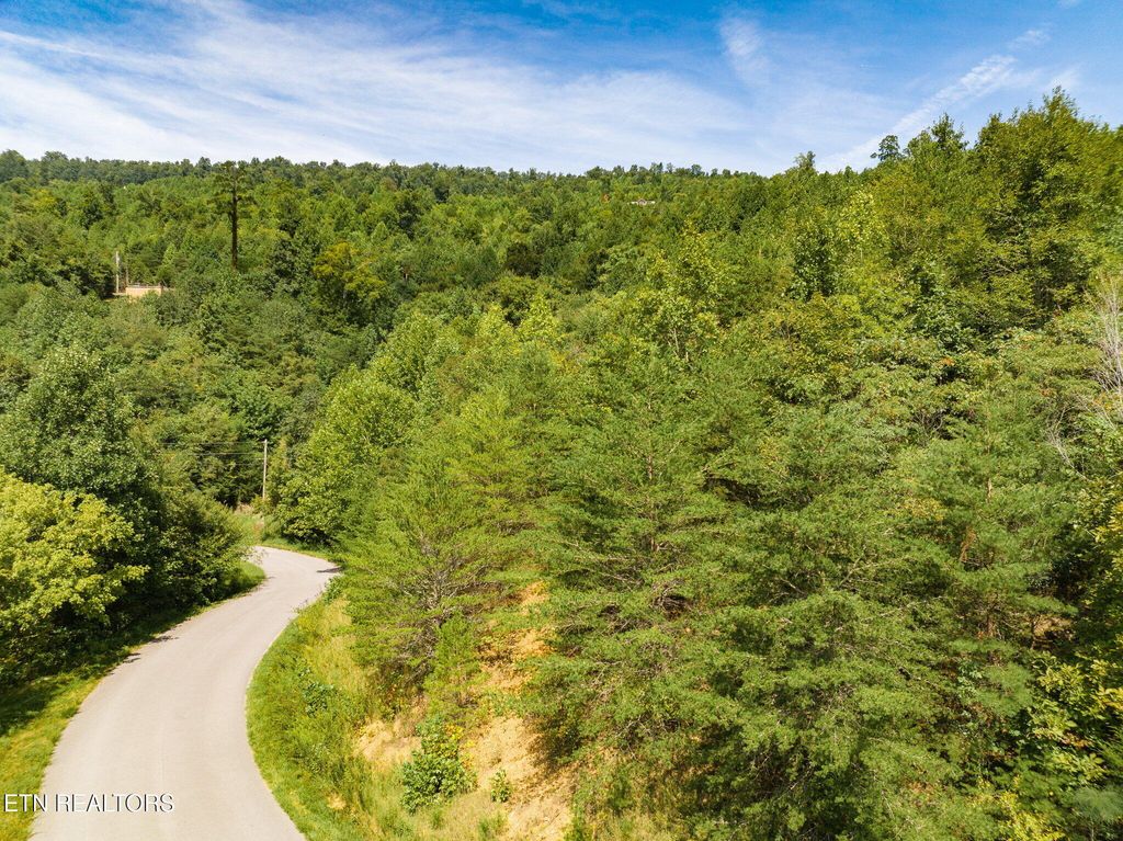 Photo of Clear Water Rd, New Tazewell, TN 37825 (MLS # 1293638)