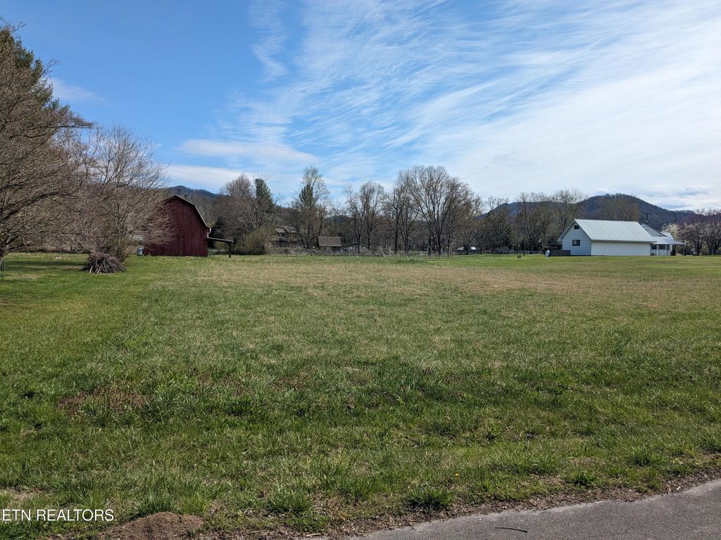Photo of 24 Sandy Lane, Townsend, TN 37882 (MLS # 1256195)