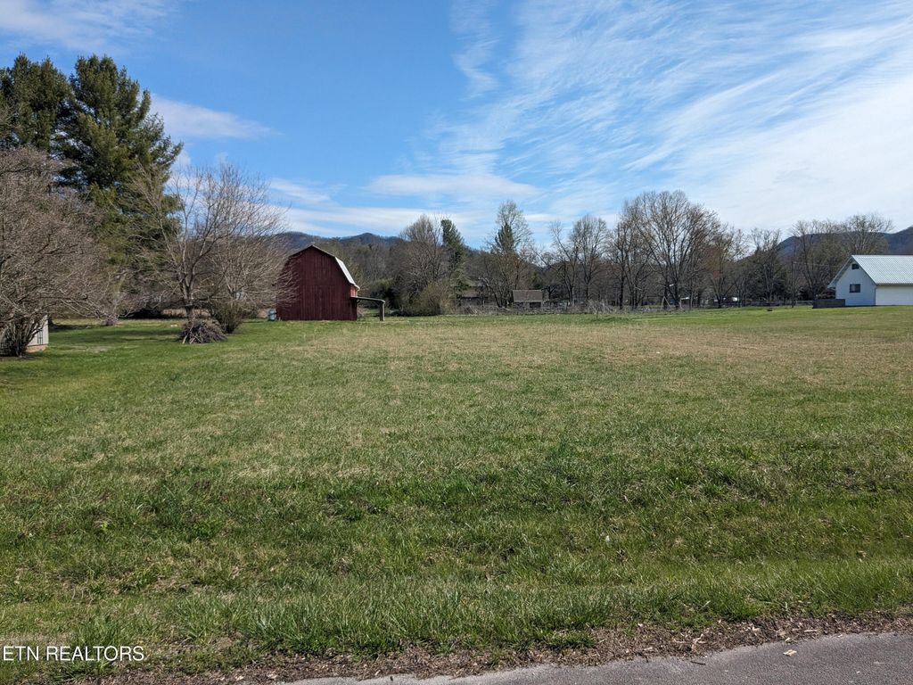 Photo of 24 Sandy Lane, Townsend, TN 37882 (MLS # 1256195)