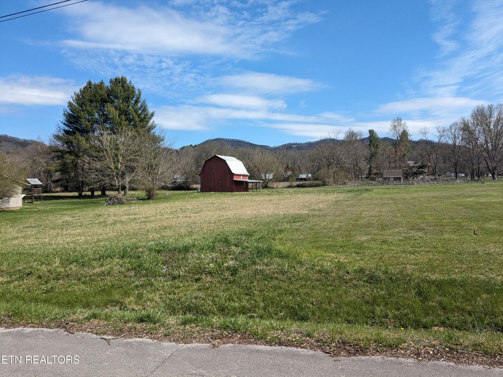 Photo of 24 Sandy Lane, Townsend, TN 37882 (MLS # 1256195)