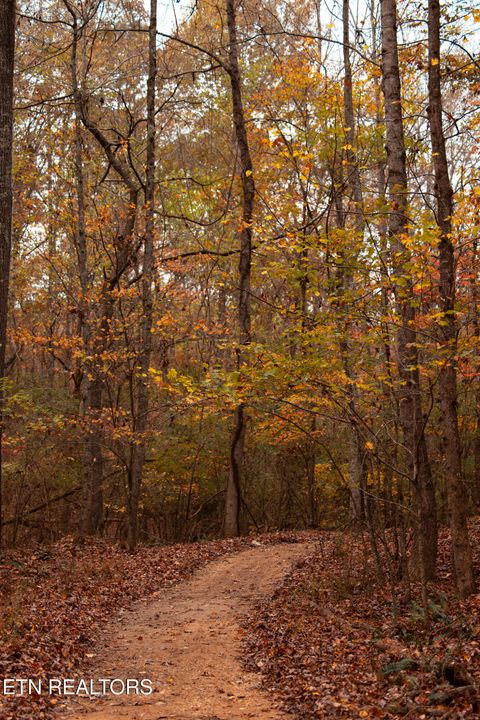 Tiny photo for 104 Azalea Lane, Loudon, TN 37774 (MLS # 1322562)