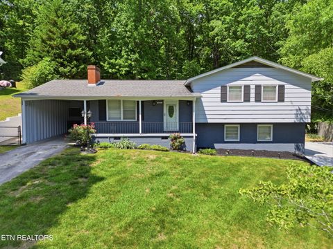 Photo of 4612 Silverhill Drive, Knoxville, TN 37921 (MLS # 1341590)