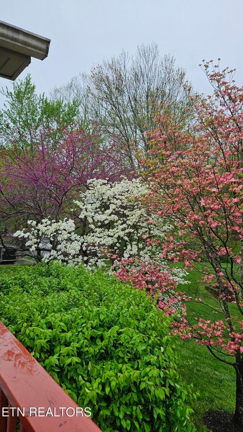 Tiny photo for 715 Cedar Lane #118, Knoxville, TN 37912 (MLS # 1318037)
