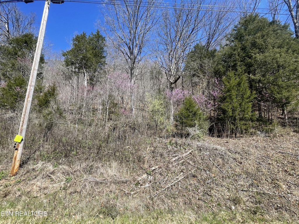 Photo of Highland Trace Rd, Sharps Chapel, TN 37866 (MLS # 1329603)