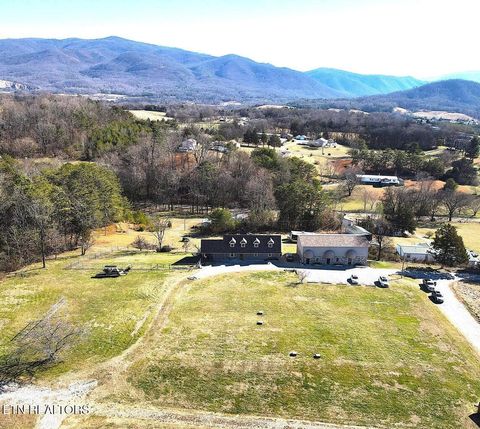 Tiny photo for 2482 Elk Way, Newport, TN 37821 (MLS # 1327667)