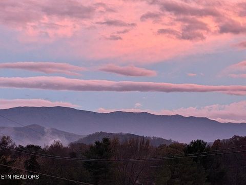 Tiny photo for 2482 Elk Way, Newport, TN 37821 (MLS # 1327667)