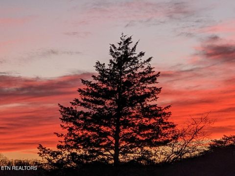 Tiny photo for 2482 Elk Way, Newport, TN 37821 (MLS # 1327667)