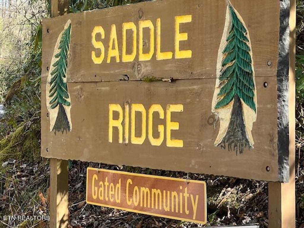 Photo of Christa Tr, Walland, TN 37886 (MLS # 1255801)