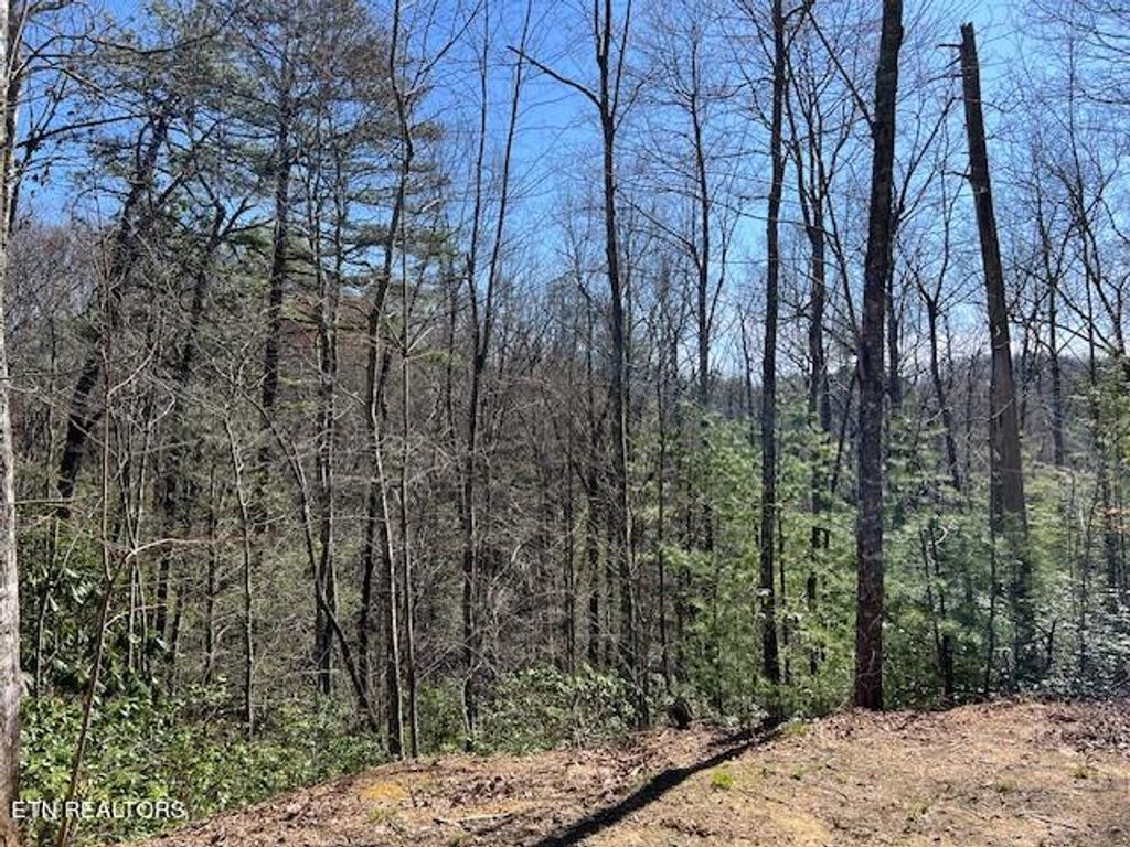 Photo of Christa Tr, Walland, TN 37886 (MLS # 1255801)