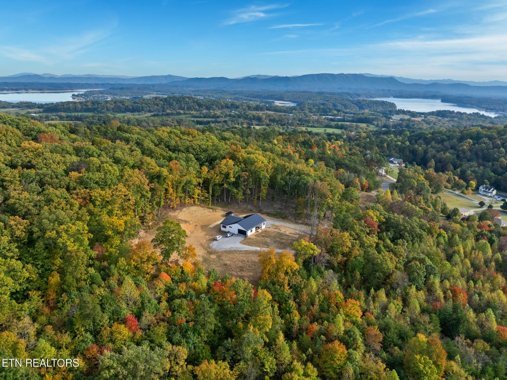 Photo of 209 Farmsdale Rd, White Pine, TN 37890 (MLS # 1360601)
