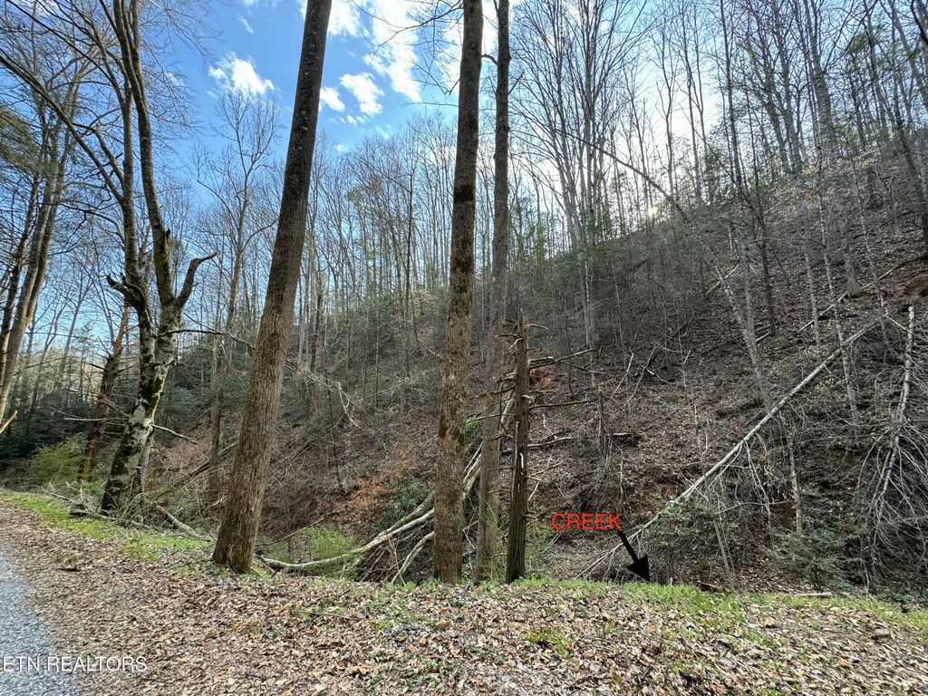 Photo of Hobe Maples Way, Sevierville, TN 37876 (MLS # 1294432)