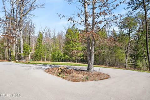 Tiny photo for 1156 Sunset Ridge Drive, Crossville, TN 38571 (MLS # 1333759)