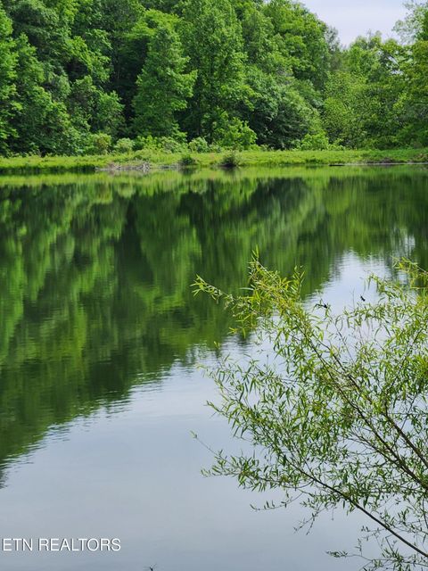 Photo of 380 Seng Garden Rd, Tellico Plains, TN 37385 (MLS # 1341772)