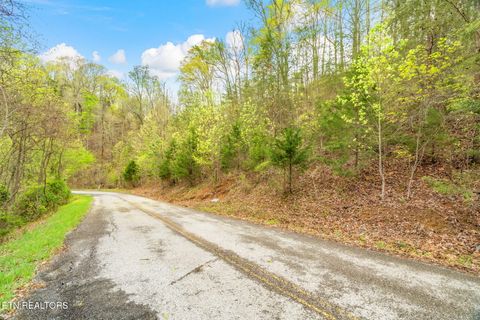 Tiny photo for 736 Russell Brothers Rd, Sharps Chapel, TN 37866 (MLS # 1333041)