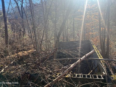 Tiny photo for 3071 Mica Way, Cosby, TN 37722 (MLS # 1325820)