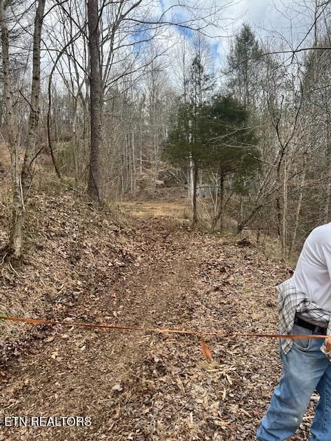 Tiny photo for 3071 Mica Way, Cosby, TN 37722 (MLS # 1325820)