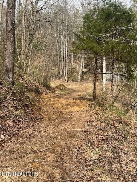 Tiny photo for 3071 Mica Way, Cosby, TN 37722 (MLS # 1325820)