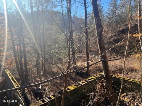 Tiny photo for 3071 Mica Way, Cosby, TN 37722 (MLS # 1325820)