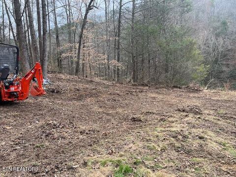 Tiny photo for 3071 Mica Way, Cosby, TN 37722 (MLS # 1325820)