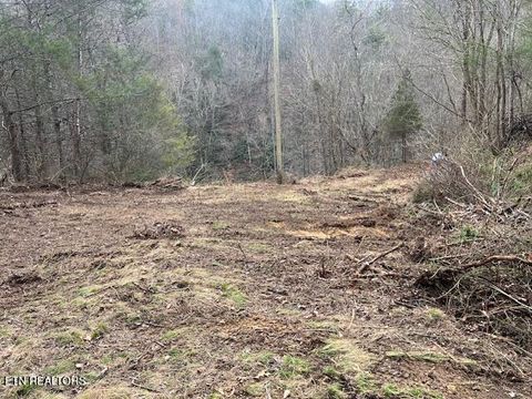 Tiny photo for 3071 Mica Way, Cosby, TN 37722 (MLS # 1325820)