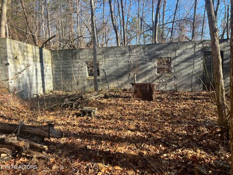 Tiny photo for 3071 Mica Way, Cosby, TN 37722 (MLS # 1325820)