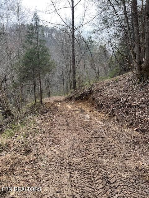 Tiny photo for 3071 Mica Way, Cosby, TN 37722 (MLS # 1325820)