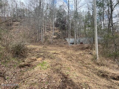 Tiny photo for 3071 Mica Way, Cosby, TN 37722 (MLS # 1325820)