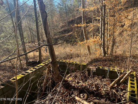 Tiny photo for 3071 Mica Way, Cosby, TN 37722 (MLS # 1325820)