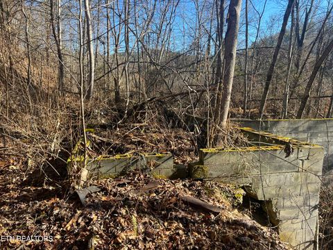 Tiny photo for 3071 Mica Way, Cosby, TN 37722 (MLS # 1325820)