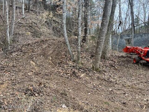 Tiny photo for 3071 Mica Way, Cosby, TN 37722 (MLS # 1325820)