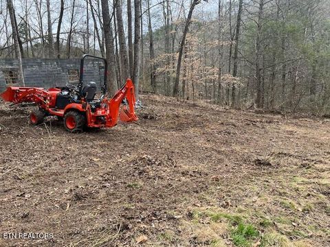 Tiny photo for 3071 Mica Way, Cosby, TN 37722 (MLS # 1325820)