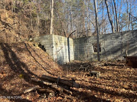 Tiny photo for 3071 Mica Way, Cosby, TN 37722 (MLS # 1325820)