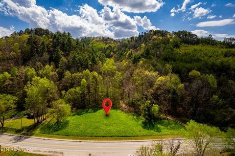 Photo of Cherohala Skyway, Tellico Plains, TN 37385 (MLS # 1335576)