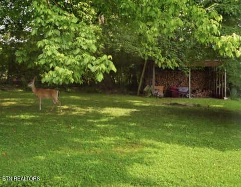 Tiny photo for 31 Wayfarer Lane, Crossville, TN 38572 (MLS # 1349877)