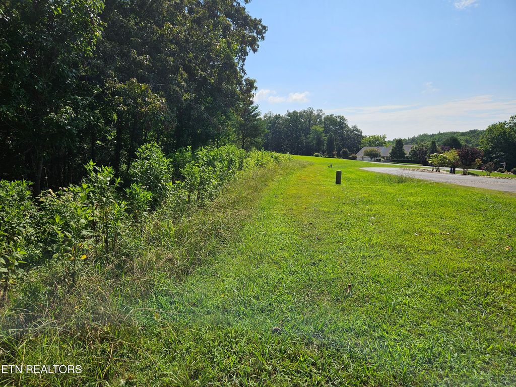 Photo of 204 Majestic View Drive, Rockwood, TN 37854 (MLS # 1311031)