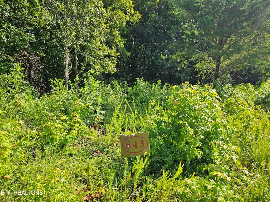 Photo of 204 Majestic View Drive, Rockwood, TN 37854 (MLS # 1311031)