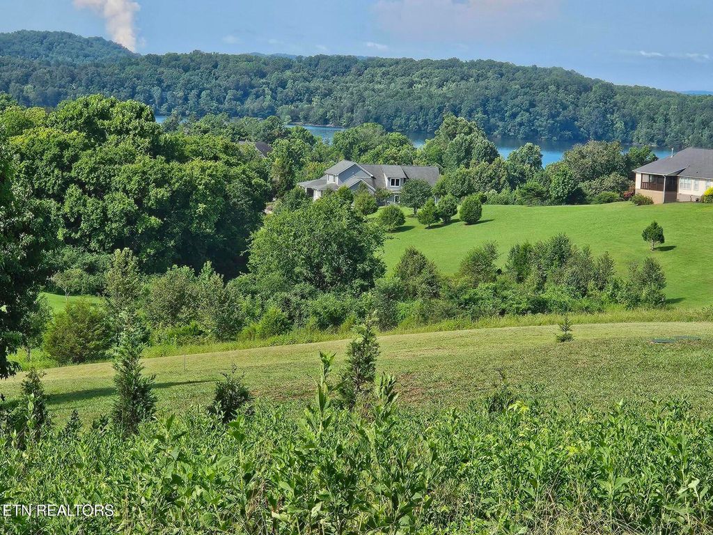 Photo of 204 Majestic View Drive, Rockwood, TN 37854 (MLS # 1311031)