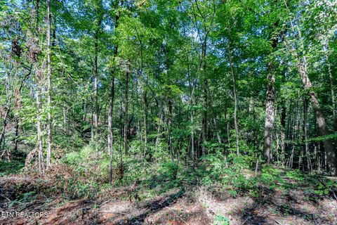Tiny photo for 1272 Applewood Rd Rd, Newport, TN 37821 (MLS # 1317962)