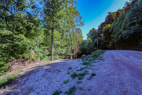 Tiny photo for 1272 Applewood Rd Rd, Newport, TN 37821 (MLS # 1317962)